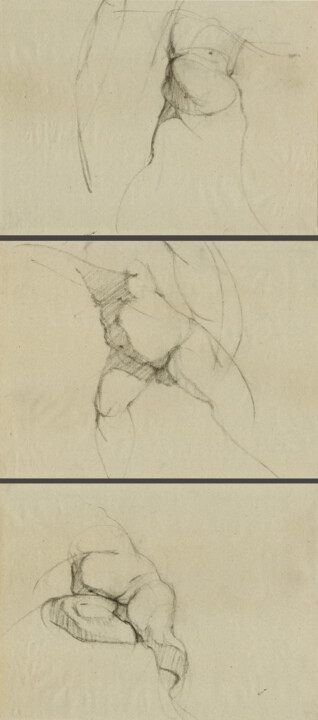 图画 标题为“Untitled Triptych” 由Jacqueline Gomez, 原创艺术品, 木炭