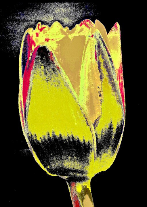 摄影,  40x28.4 in 