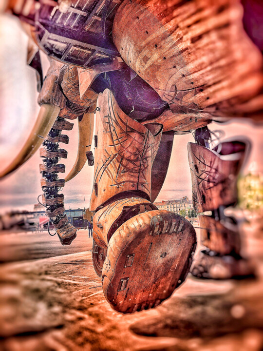 Machines de l’Ile 摄影
