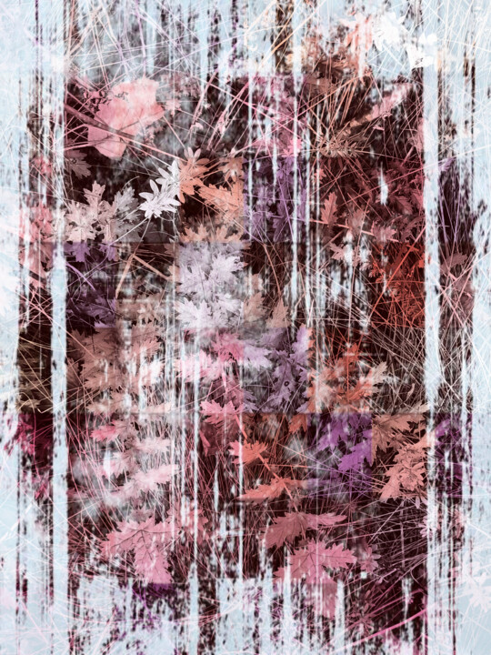 Autumn grass 摄影