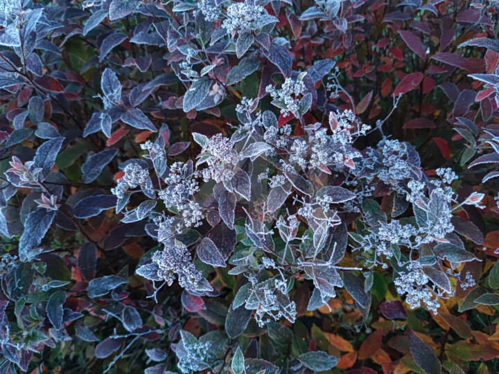 freezing 摄影, 46.1x61.4 in