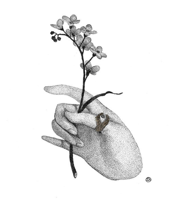 图画,  7.1x5.1 in 