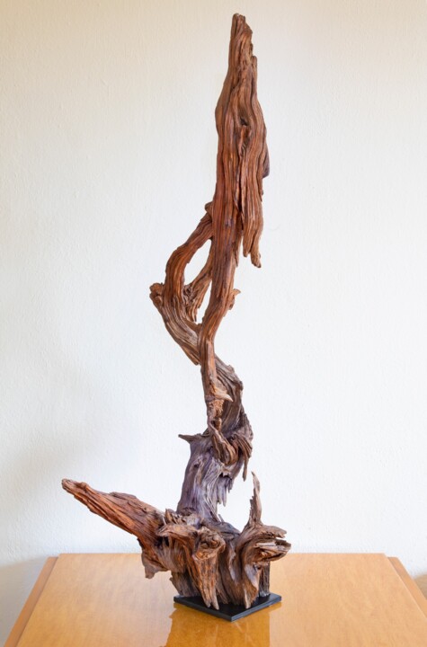 Sculpture,  45.7x21.7 in 