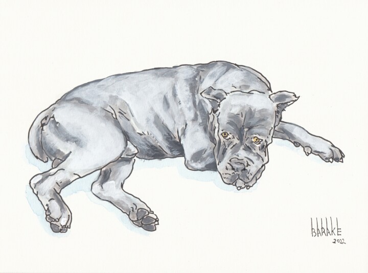 BACCO , Cane Corso 绘画, 8.3x11.4 in