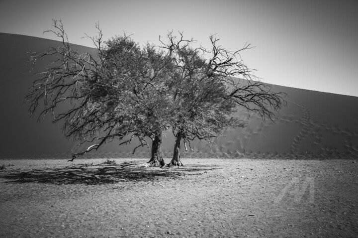 Namib Desert-0912-SW 摄影