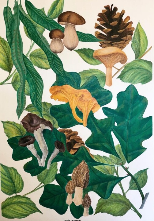 fongi fun 图画, 23.6x15.8 in