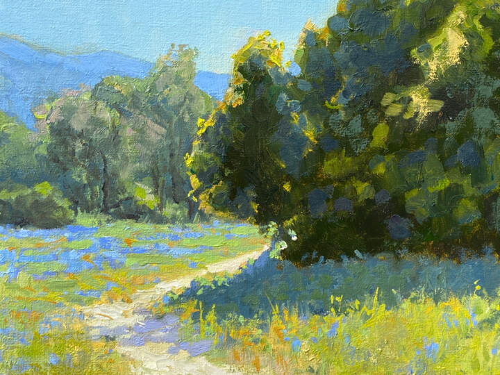 Additional views 3