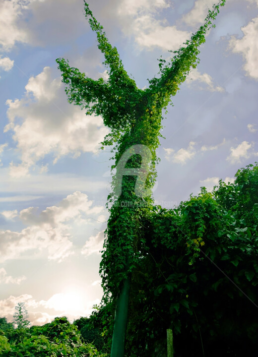 Hong Kong Island - Funny Green Plant I Photography