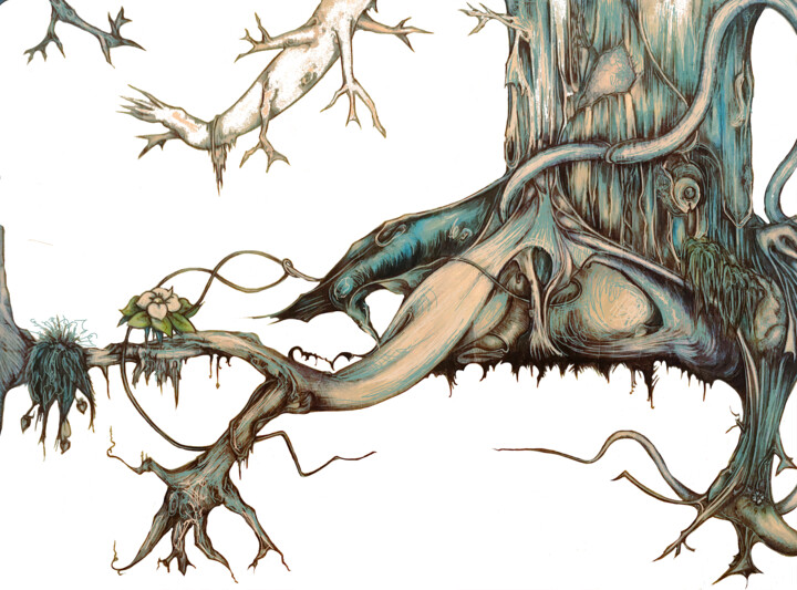 Our roots 图画, 11.8x15.8 in