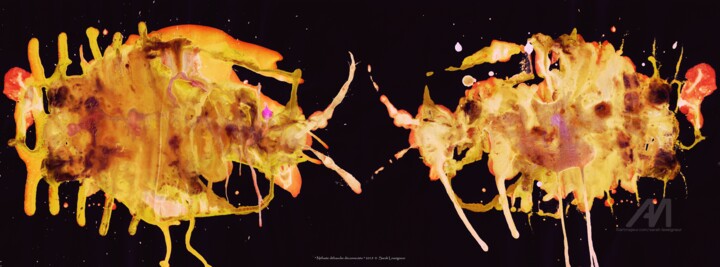 Fotografie getiteld "Néfaste débauche dé…" door Sarah Leseigneur, Origineel Kunstwerk, 2D Digital Work