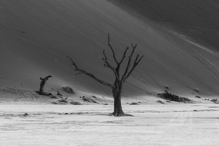 Namib Desert-0583-SW 摄影