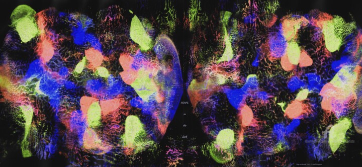 Digital Arts titled "Hope in the dark" by Sarah Leseigneur, Original Artwork, Photo Montage