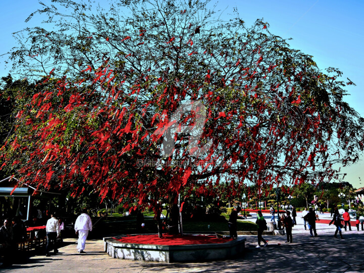 Red Lucky Tree in China #2 Photography