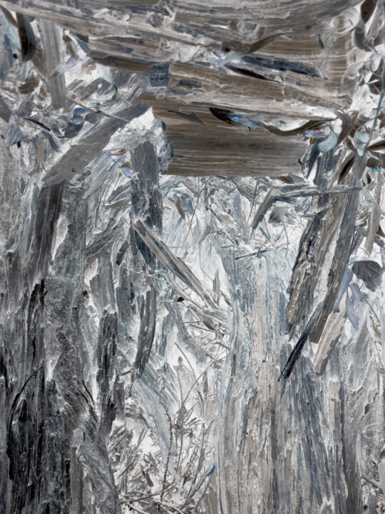 摄影,  44.9x60.6 in 