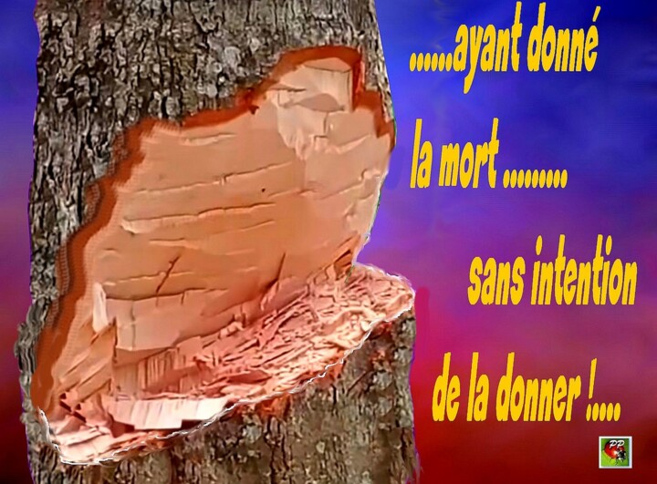 INTENTION  A DEFINIR