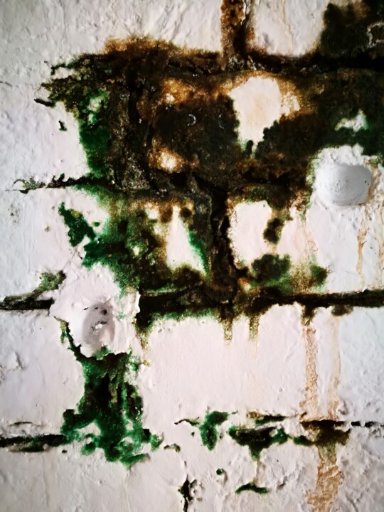 Muffe 绘画, 23.6x23.6 in