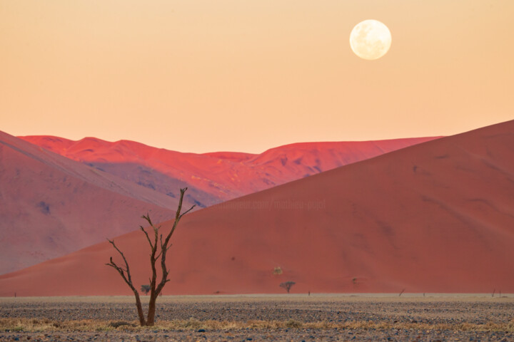 L'arbre et la lune Photography, 23.6x35.4 in
