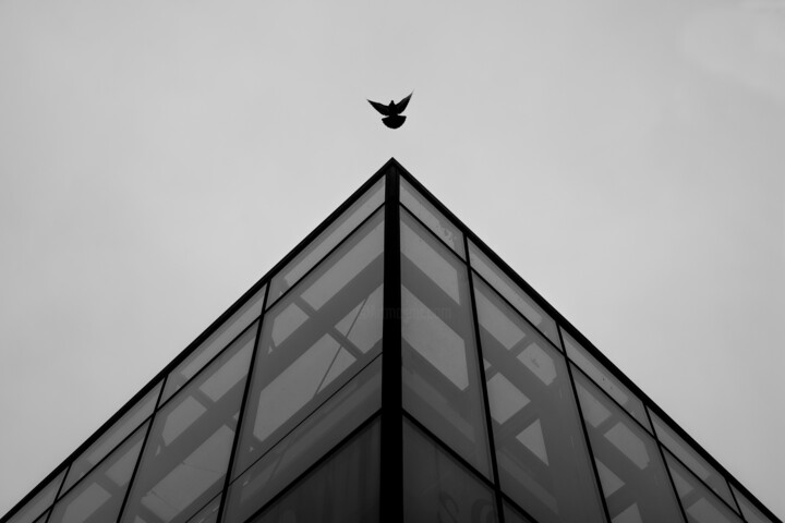 Leap 摄影, 27.6x39.4 in