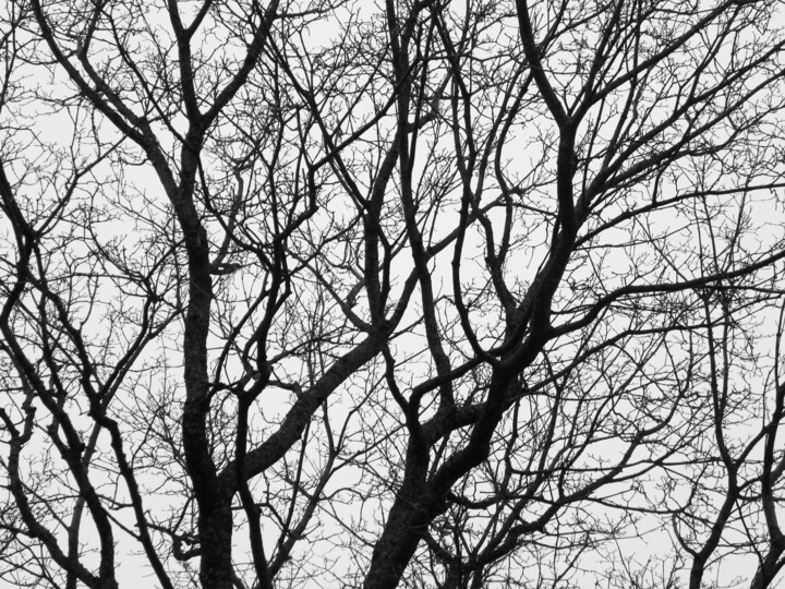 November 15, 2022 #3 Фотография