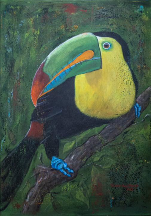 Tukan/Tucan 绘画, 36.2x25.6 in