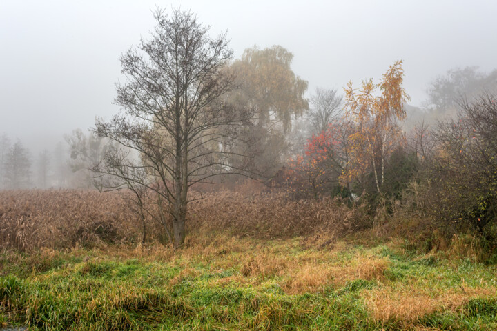 Following the Fog 5 摄影