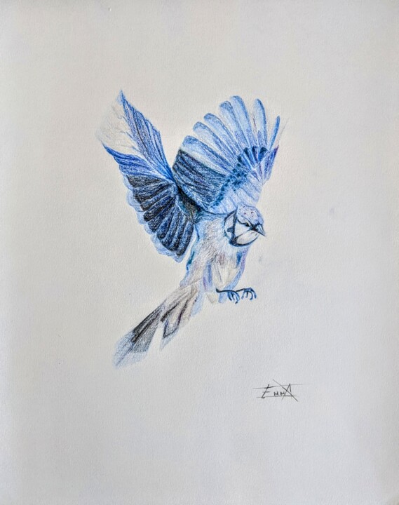 图画,  9.5x5.9 in 