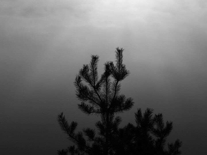 November 18, 2022 #1 Фотография