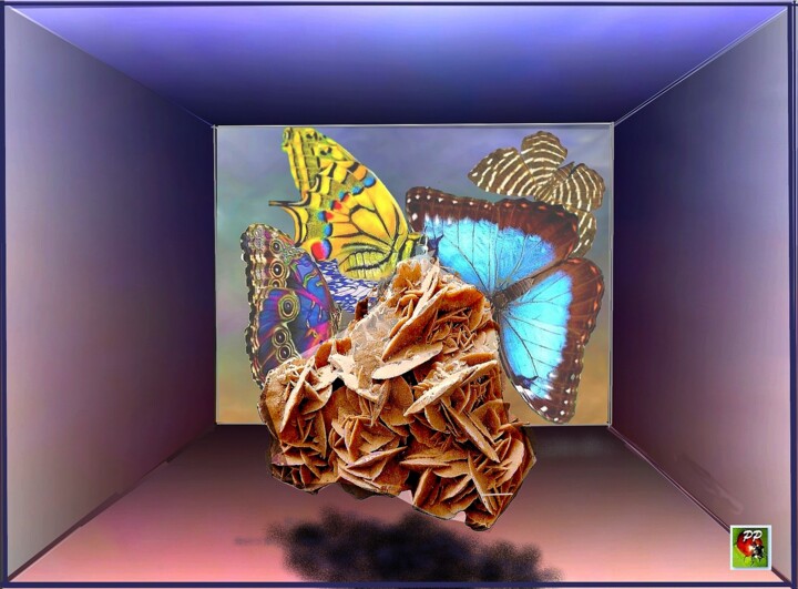NATURE iMORTE