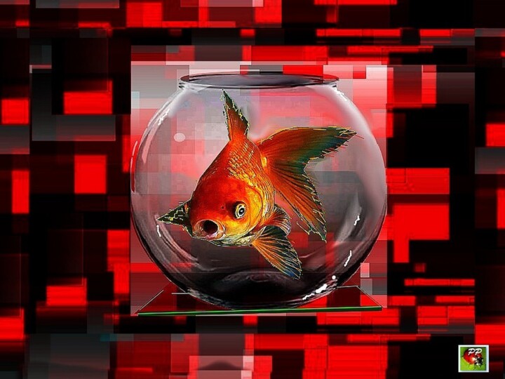 le ROUGE "poisson"