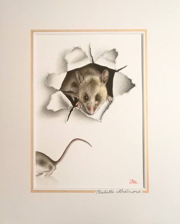 Peinture intitulée "Deux souris" par Isabelle Molinard, Œuvre d'art originale, Aquarelle
