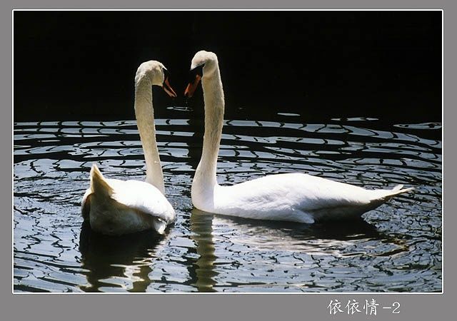 Photography titled "半影人作品1" by Ban Ying Lao Ren, Original Artwork