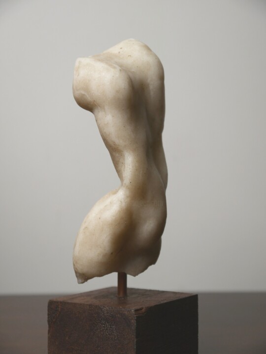 Rzeźba zatytułowany „Study of a Torso” autorstwa Andrew Gangan, Oryginalna praca, Kamień