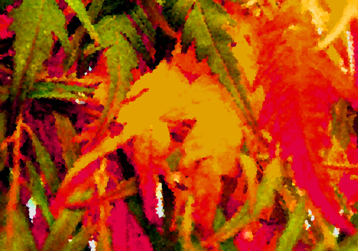 Photography titled "Concerto in Red Maj…" by Phillip Windell, Original Artwork, Digital Photography