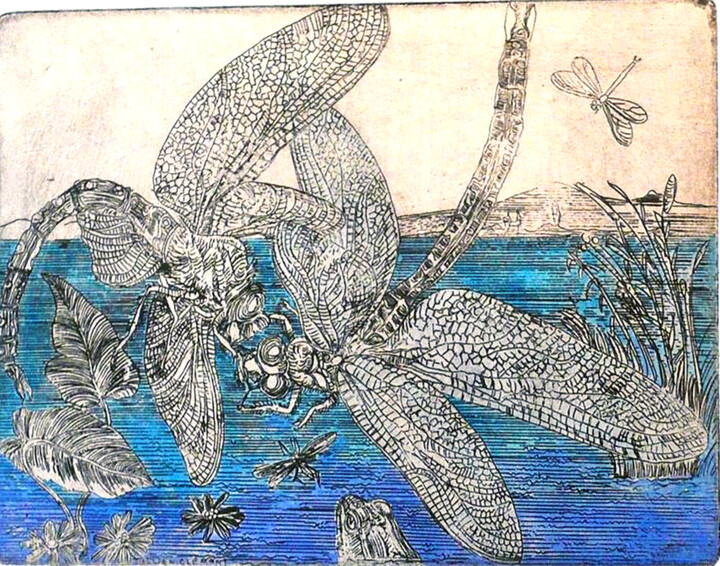 Planche entomologique I,( les libellules) 印花与版画, 5.5x7.9 in