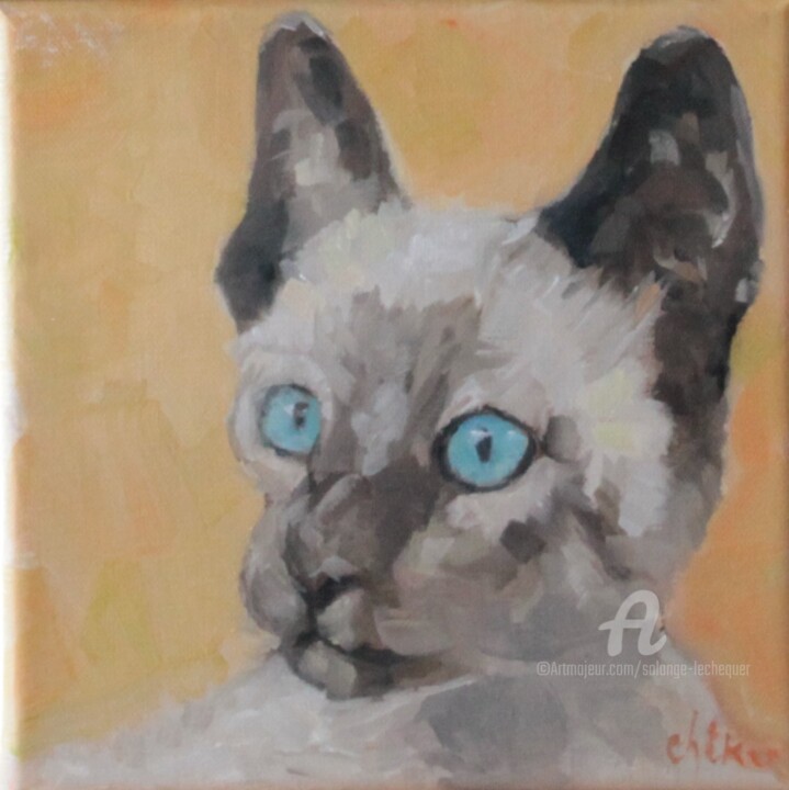 Peinture intitulée "Le Siamois aux yeux…" par Chéker, Œuvre d'art originale, Huile Monté sur Châssis en bois