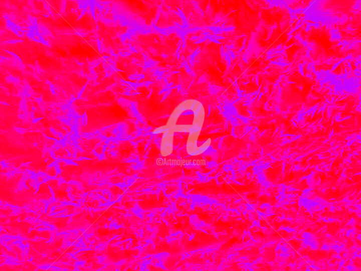 摄影 