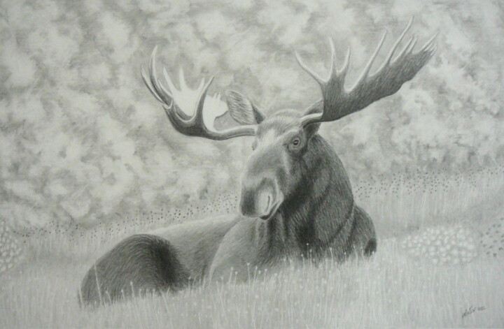图画,  17.4x27 in 
