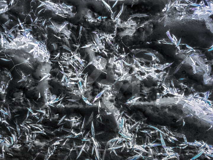 saga 摄影, 46.1x61.4 in