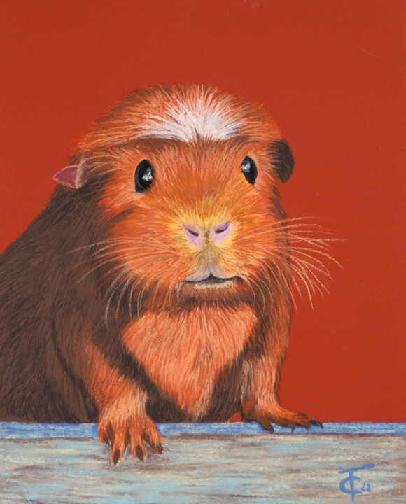 Dibujo titulada "Marcel" por Pastels Et Velours, Obra de arte original, Pastel