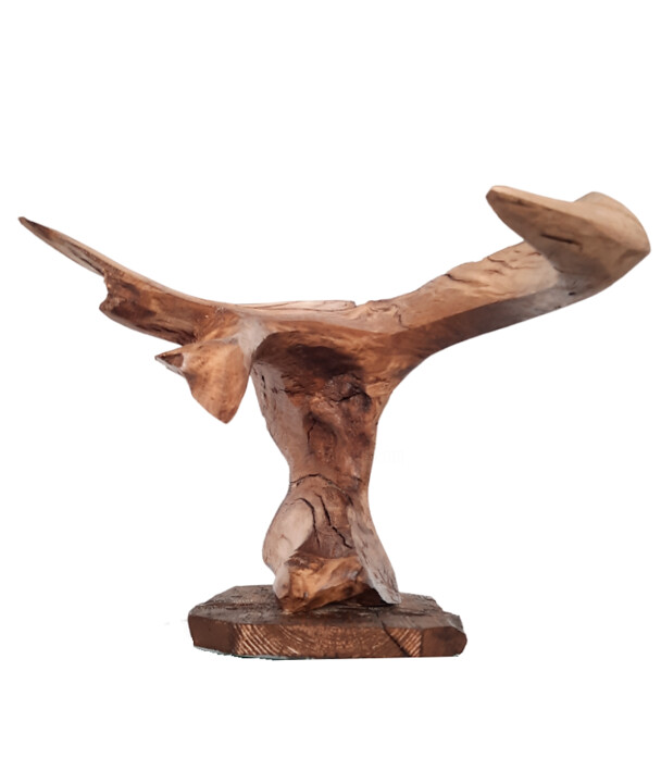 Sculpture titled "Driving force" by Lara Shabelnik, Original Artwork, Wood