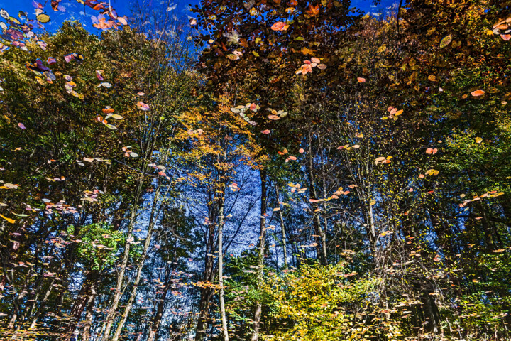 Reflections 1 Photography