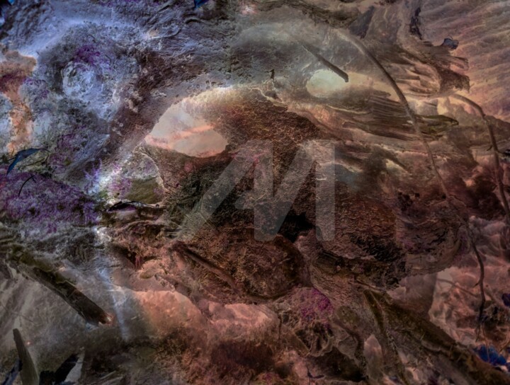 摄影,  47.6x63.8 in 