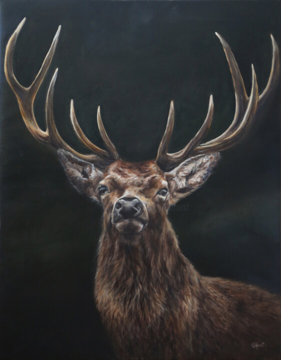 Stag, red deer stag, Scotland 绘画, 28x22.1 in
