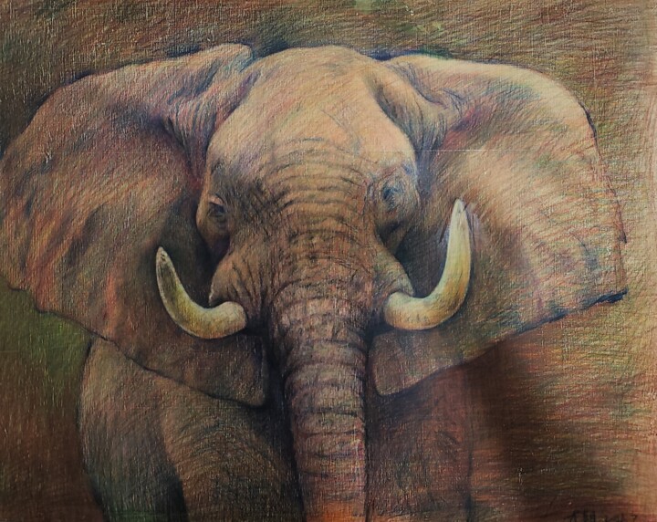elephant 绘画, 19.7x23.6 in
