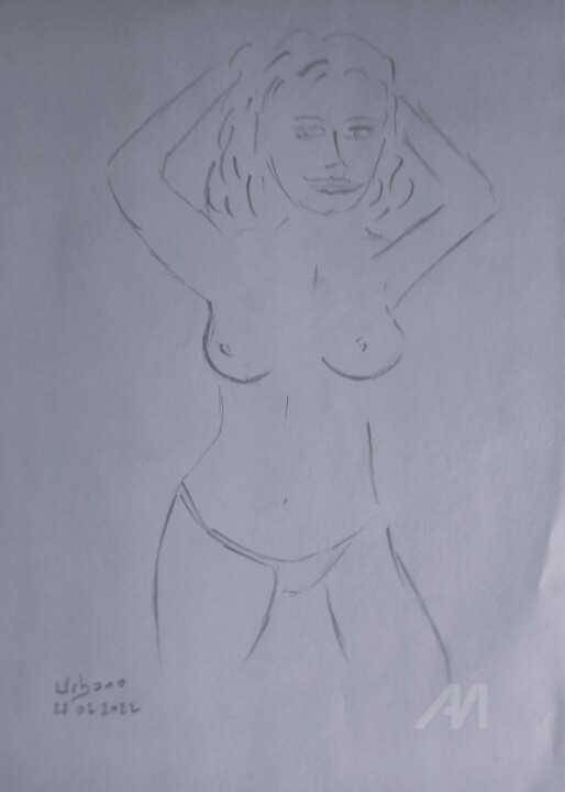 图画,  16.1x11.8 in 