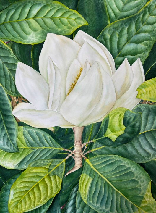 Painting titled "Ficus magic" by Dariia Pavlenko, Original Artwork, Watercolor