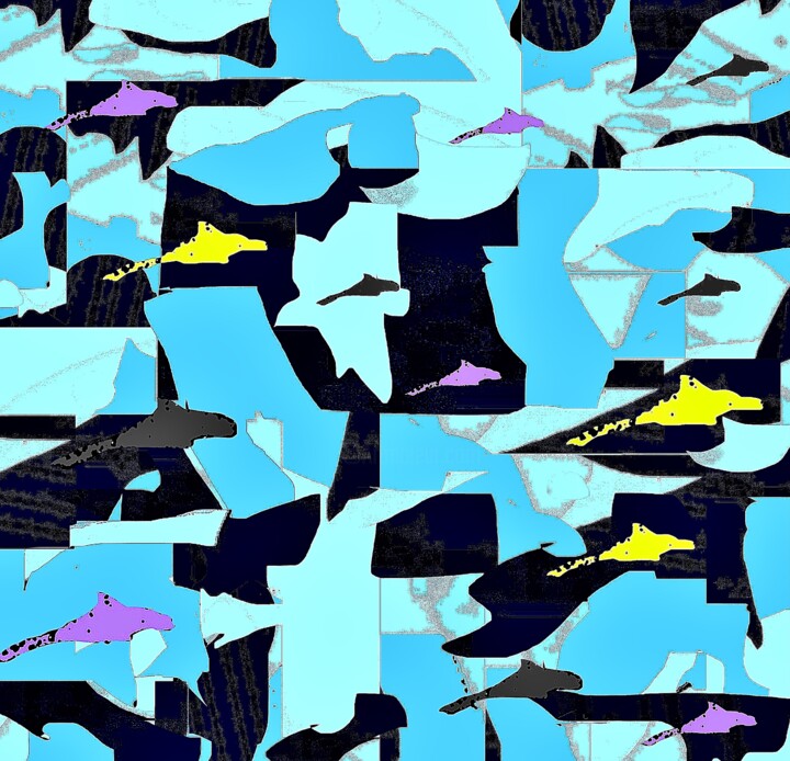 Sharks 1a2 摄影, 23.1x24 in