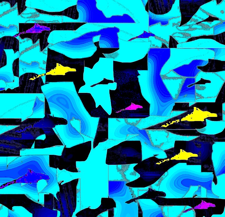 Sharks 1a2b 摄影, 28.9x30 in
