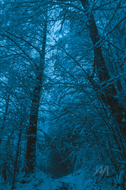 Fotografie getiteld "TOUT OUBLIER ET ALL…" door Oleg Andrienko, Origineel Kunstwerk, Digitale fotografie