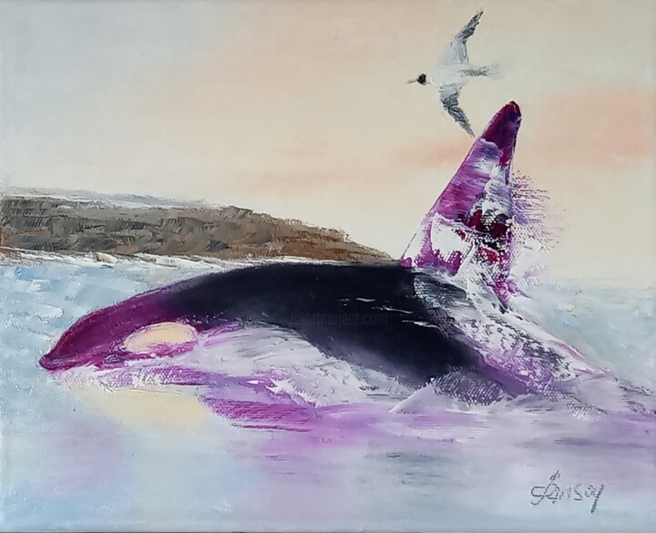 316 Orca 绘画, 9.5x11.8 in